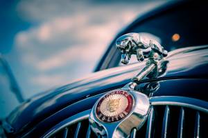 Bastien RIVEMALE - PEPS DRONE
